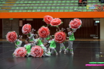 108學年度基隆市學生舞蹈比賽:DSC01547